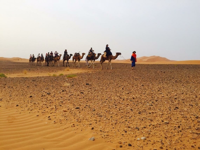 private-fes-tour-to-merzouga-desert-and-back-2-days