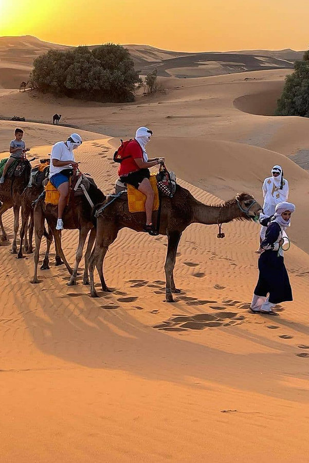 camel-trek-in-desert